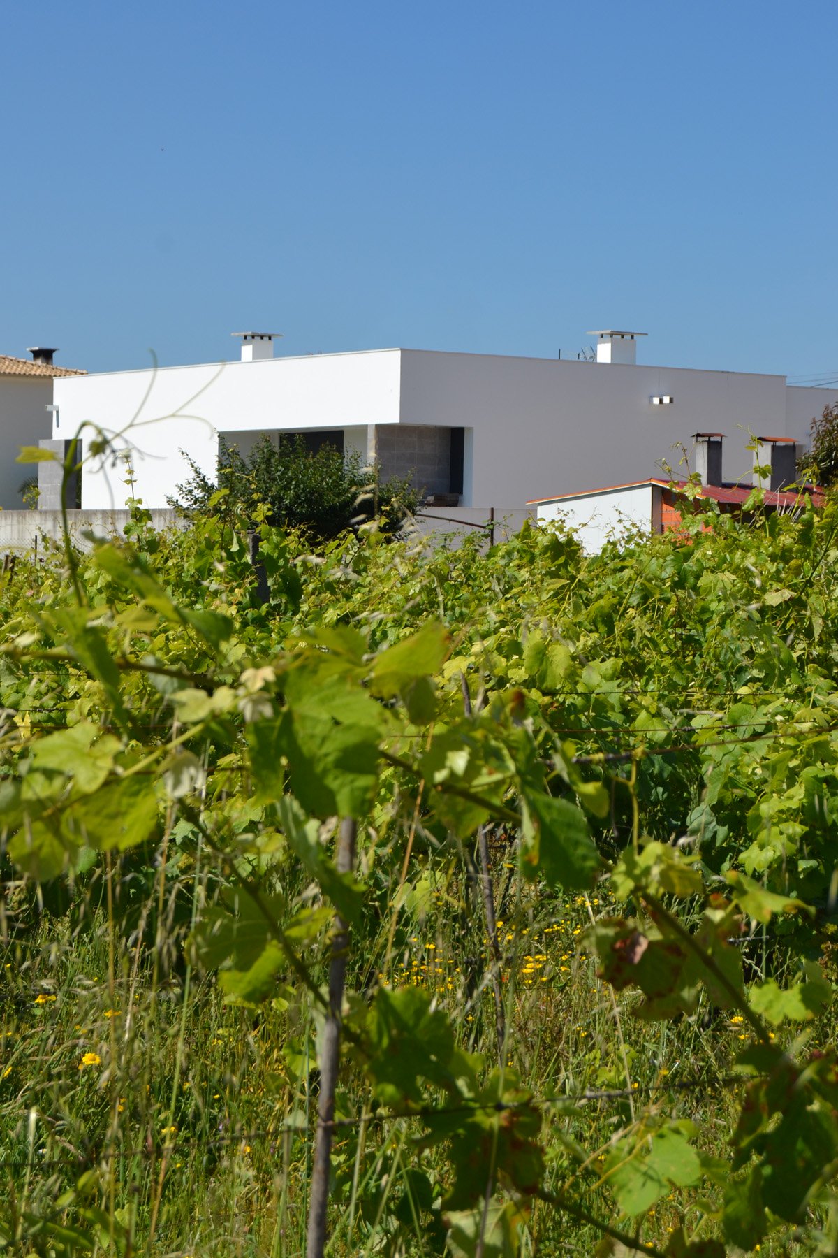 Cantanhede – Villa Individuelle